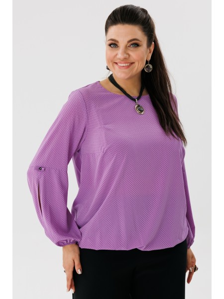 1355.1 виноград