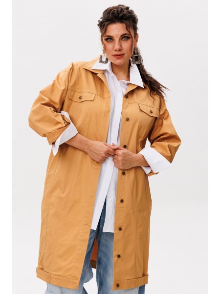 1572 пряная охра