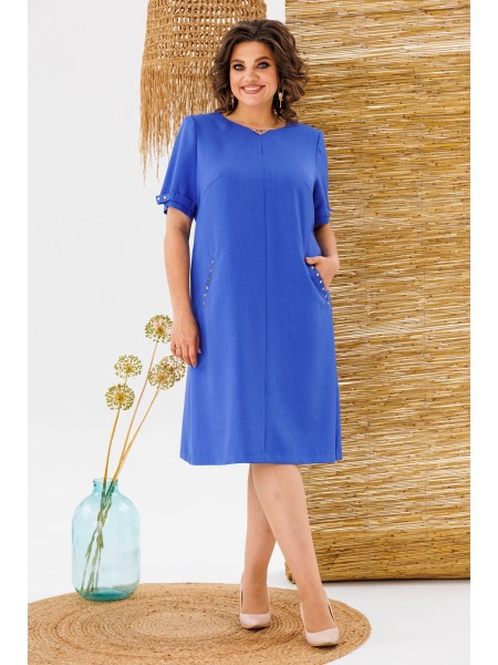 1-1729К василёк