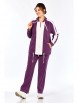 Спортивный костюм артикул: М-402 сливовый от Тэнси - вид 1